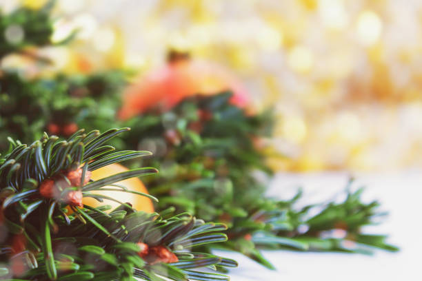 istock Natural fir tree branch in christmas composition. 1303762880