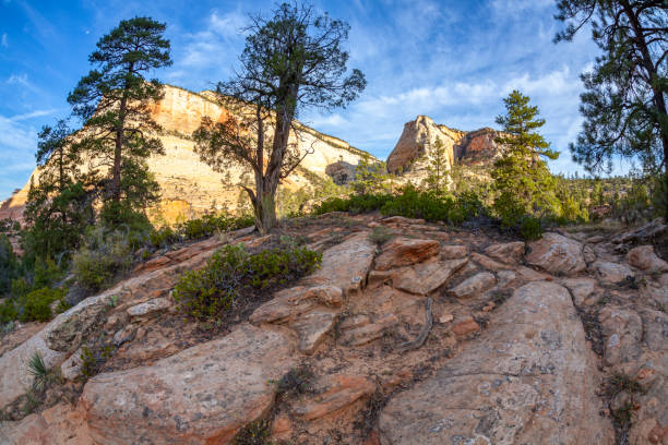 istock Zion National Park in early autumn 1303766721