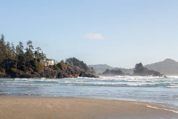 istock Long Beach in the Pacific Rim National Park Reserve 1303770403