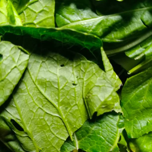 istock Vegetarian food court 1303774306