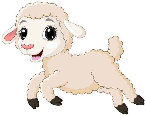 cartoon baby lamm läuft auf weißem hintergrund - lamb stock-grafiken, -clipart, -cartoons und -symbole