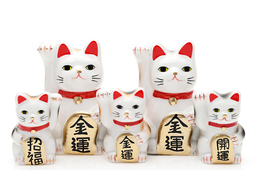 Japanese lucky cat on white background, Japanese word of this photography means \
