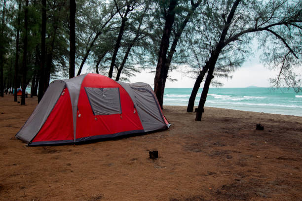 istock Thailand, Backgrounds, Beach, Beauty, Bench, Camping, Tent, Summer, Backgrounds 1303780822
