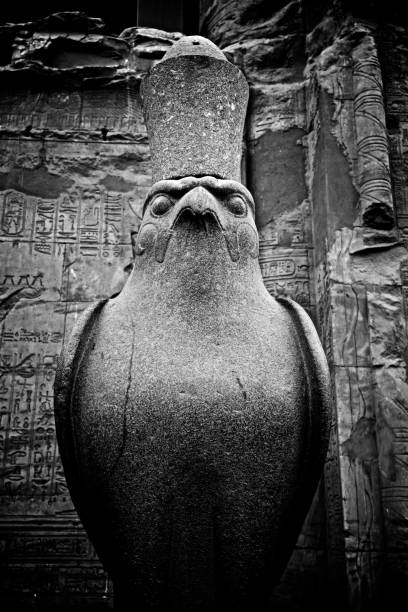 Black And White Egyptian Carving Eagle Of Horus In Horus Temple On Nile In Egypt On Nile In Egypt horus photos stock pictures, royalty-free photos & images