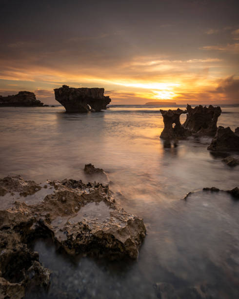 istock The Wild South Coast 1303784288