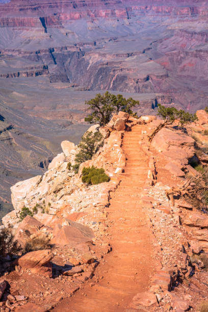 istock Grand Canyon Kaibab Trail 1303785020