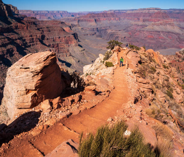 istock Grand Canyon Kaibab Trail 1303785085