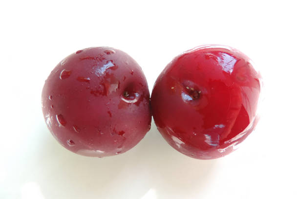 istock two ripe wet plums on a white background 1303785331
