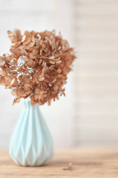 istock Dried flowers hydrangea in a blue vase on wooden table and white background. 1303785911