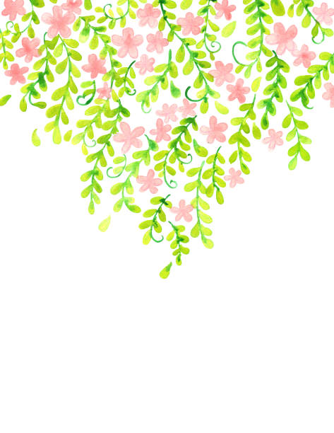 ilustrações de stock, clip art, desenhos animados e ícones de ivy pink flower frame for decoration on wedding event and spring season. - fern forest ivy leaf