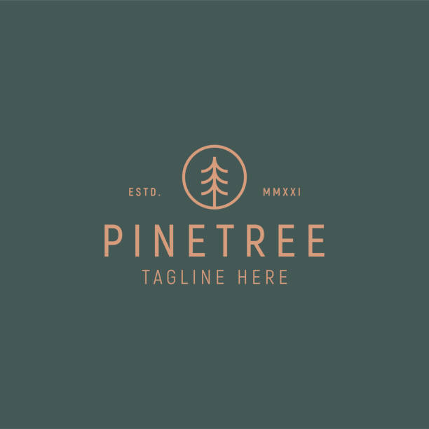 bildbanksillustrationer, clip art samt tecknat material och ikoner med pine tree enkel linje logotyp vektor mall. - pine
