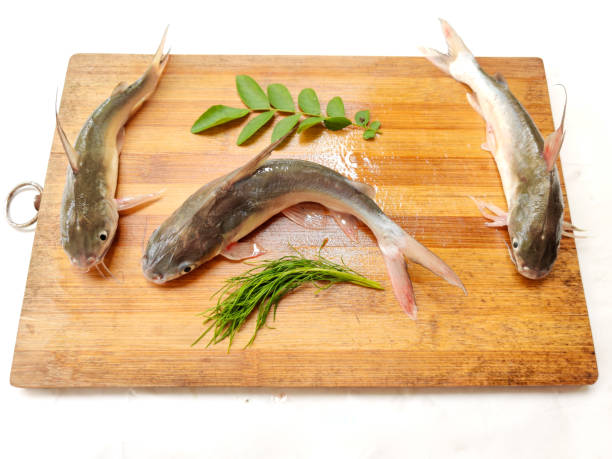 istock Gafftopsail Cat Fish Fish decorated with herbs and vegetables .Selective Focus. 1303798099