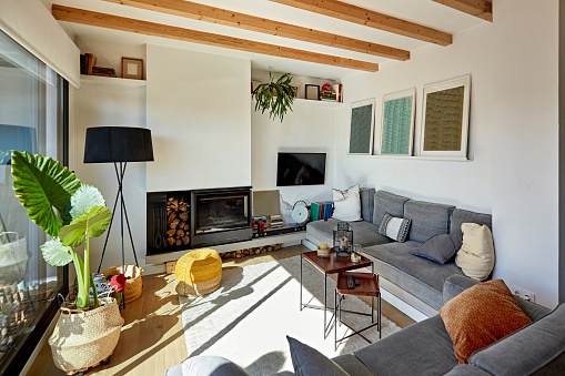 Sala de estar soleada en apartamento moderno photo