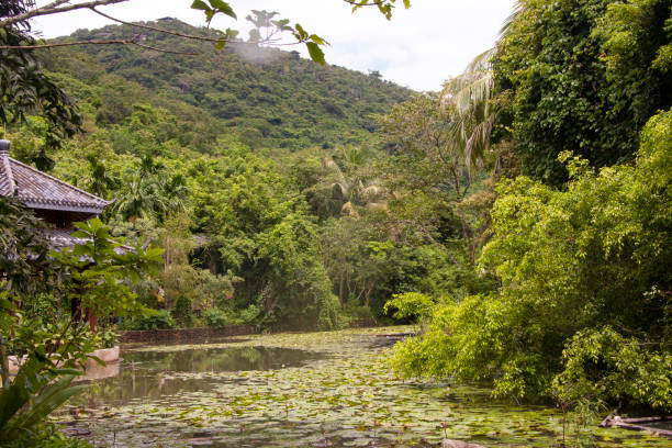 istock lotus lily lake 1303798170