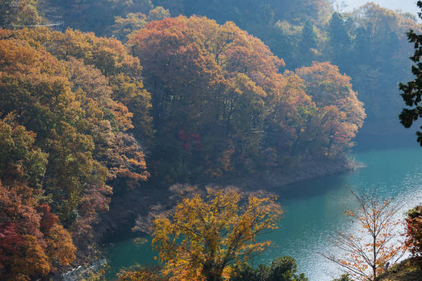 istock Lake Miyagase in autumn 1303799906