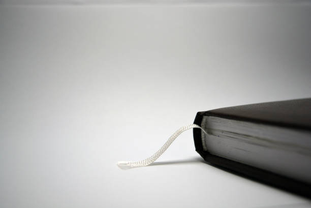 Business notebook, diary, books, office and useful things for daily use.  Unusual lighting with colorful lined brown diary.  Photos were taken in the city of Dnipro (Dnepropetrovsk), Ukraine.
