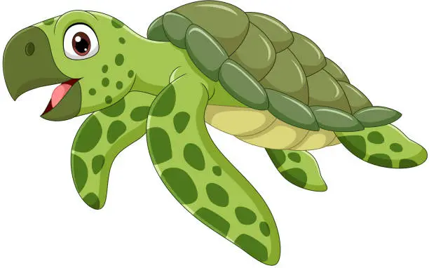 Vector illustration of Cartoon sea turtle isolated on white background