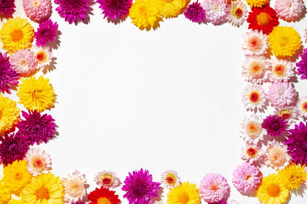 istock Beautiful background made of bright flower buds 1303803089