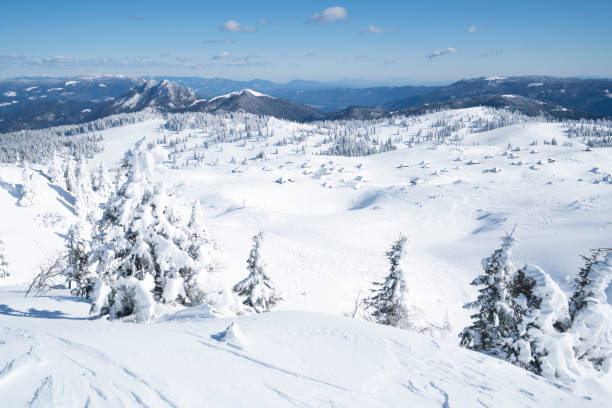 istock Frozen trees with sky as background, Slovenia 1303806540
