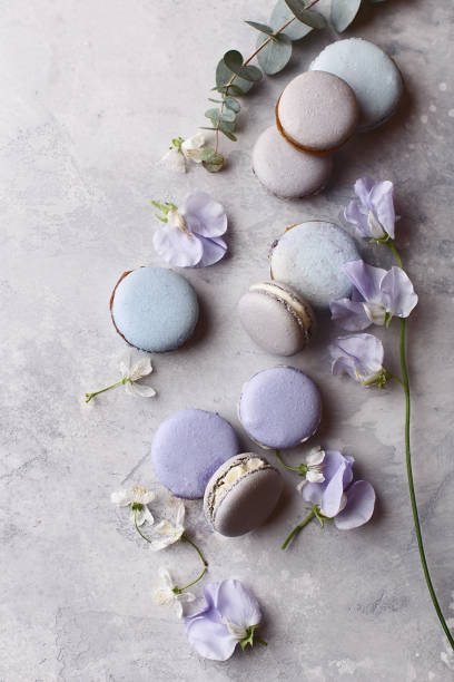 istock Multicolored pastel macaroons with flowers on gray background 1303809354