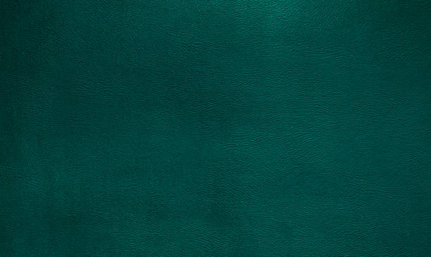 green leather texture background for design web. - leather material pattern rough imagens e fotografias de stock