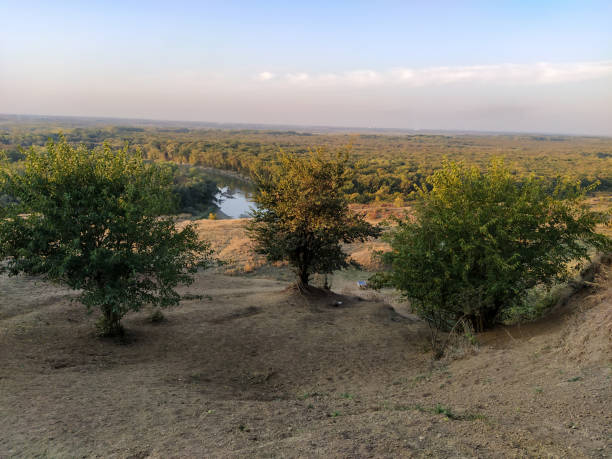 istock Trees grow on a sandy hill on river and forest background 1303812196