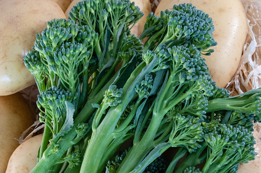 A selection of Vegetables Fresh From The Winter Garden and Laid out on the Table includingTenderstem Broccoli with potatoes under the broccoli.