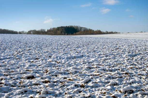 istock Hohenlohe at winter time 1303815944
