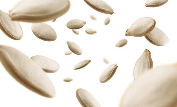 istock Pumpkin seeds levitate on a white background 1303817114