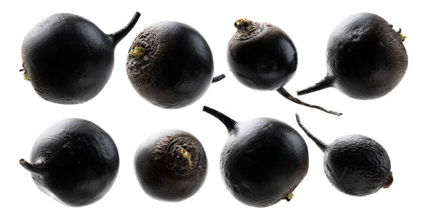 istock A set of black turnips. Isolated on a white background 1303817151