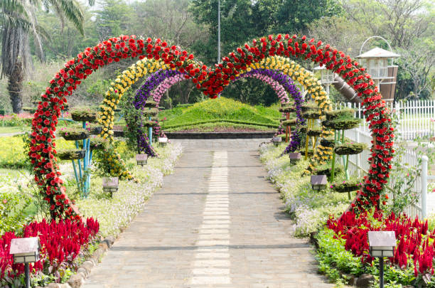 istock Landscape photo: heart of love blossoming (Vietnam) 1303819041