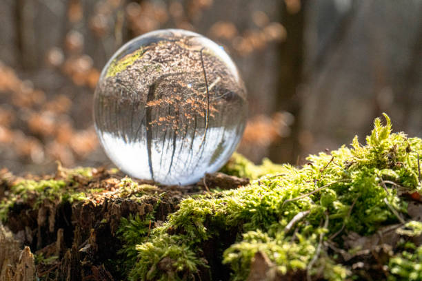 Crystal Ball Nature Moor The - Free photo on Pixabay