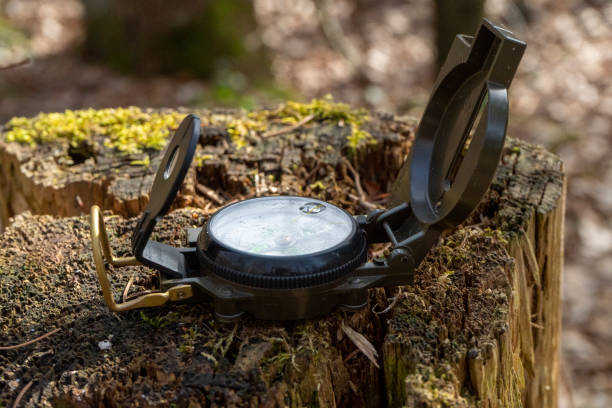 kompass im wald auf einem stumpf im sonnenlicht - boy scout orienteering compass map stock-fotos und bilder