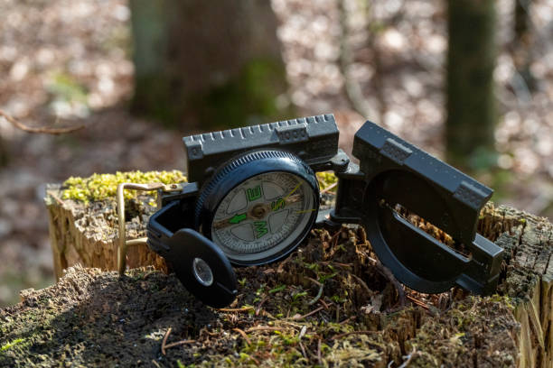 kompass im wald auf einem stumpf im sonnenlicht - boy scout orienteering compass map stock-fotos und bilder