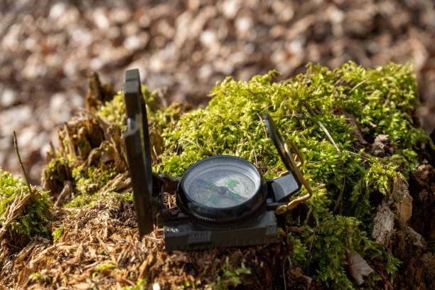 kompass im wald auf einem stumpf im sonnenlicht - boy scout orienteering compass map stock-fotos und bilder