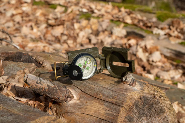 kompass im wald auf einem stumpf im sonnenlicht - boy scout orienteering compass map stock-fotos und bilder