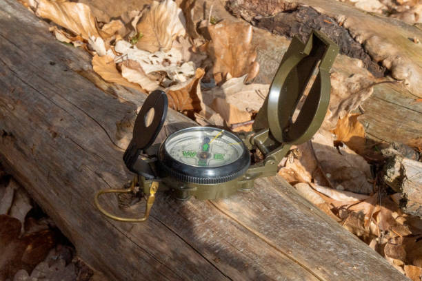 kompass im wald auf einem stumpf im sonnenlicht - boy scout orienteering compass map stock-fotos und bilder