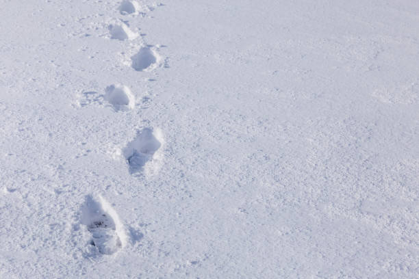 istock Line of man's footsteps in the snow 1303822976