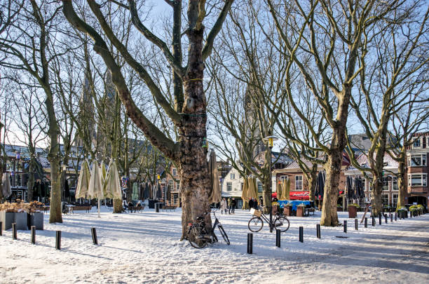 Delft Beestenmarkt square in winter Delft, The Netherlands, February 13, 2021: downtown Beestenmarkt square, usually one big outdoor cafe, now empty due to winter and lockdown delft winter netherlands snow stock pictures, royalty-free photos & images