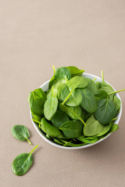 istock Green spinach leaves close up 1303824457
