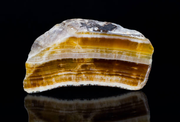 Cut polished aragonite gemstone with reflection on a black background Close-up of beautiful yellow, brown and white striped cross-section of mineral from Hridelec near Nova Paka in Czechia. Mineralogy petrified wood stock pictures, royalty-free photos & images