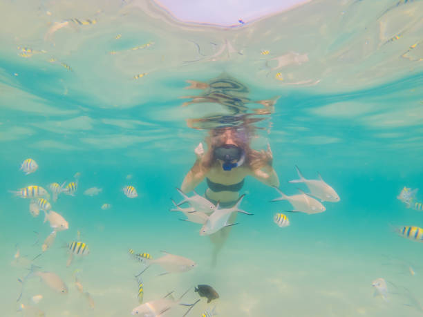 Happy woman in snorkeling mask dive underwater with tropical fishes in coral reef sea pool. Travel lifestyle, water sport outdoor adventure, swimming lessons on summer beach holiday. mujer feliz con máscara de snorkeling bucear bajo el agua con peces tropicales en la piscina marina de arrecifes de coral. estilo de vida de viaje, aventura al aire libre deporte acuático, clases de natación en vacaciones de verano en la playa