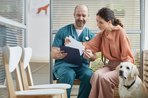 若い女性コンサルティング獣医 - vet veterinary medicine young women female ストックフォトと画像