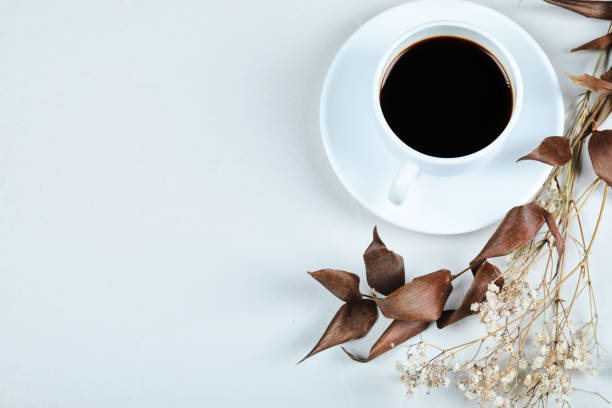 istock A cup of tea with dried plants on white background 1303833900