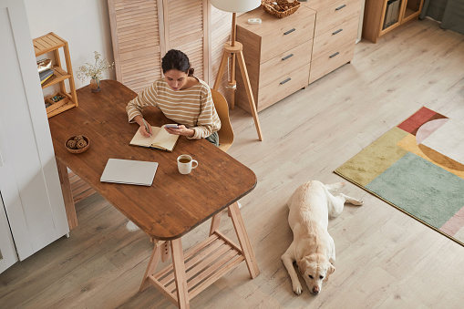 Warm toned high angle portrait of modern young woman working at home office with dog waiting by her in cozy interior, copy space