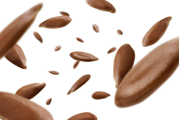 istock Flax seeds are levitated on a white background 1303834174
