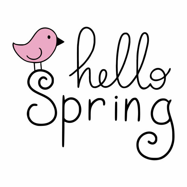 The inscription hello spring and a cute bird. Lettering for the first day of spring. A beautiful phrase for the design of a postcard. The inscription hello spring and a cute bird. Lettering for the first day of spring. A beautiful phrase for the design of a postcard. first day of spring 2021 stock illustrations