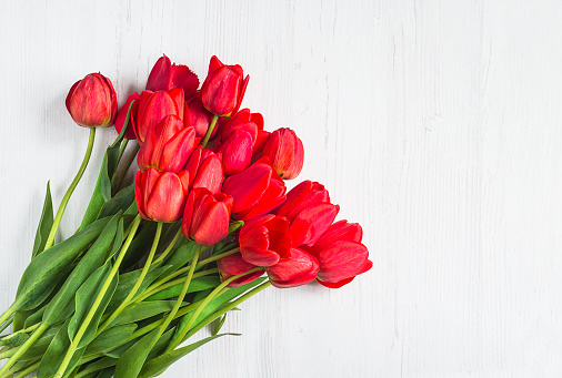 Beautiful bunch of red tulips on white wooden background. Space for text, flat lay