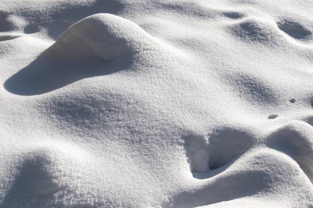 istock Snow texture. Winter background. Daylight. Snow crystals 1303835157