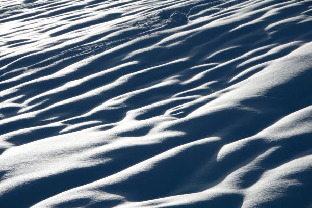 istock snowy frosty winter landscape 1303838858